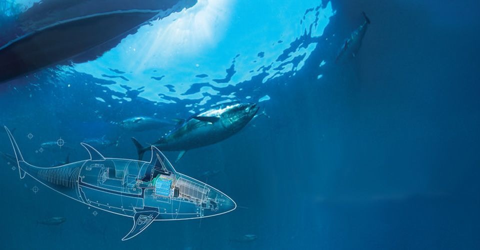 onderwater drone usa marine