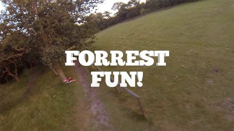 Forrest fun met de mannen van Droneracers.nl