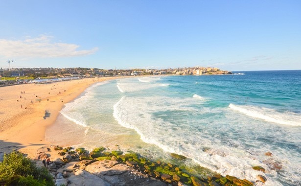 drones-haaien-bondi-beach-australie